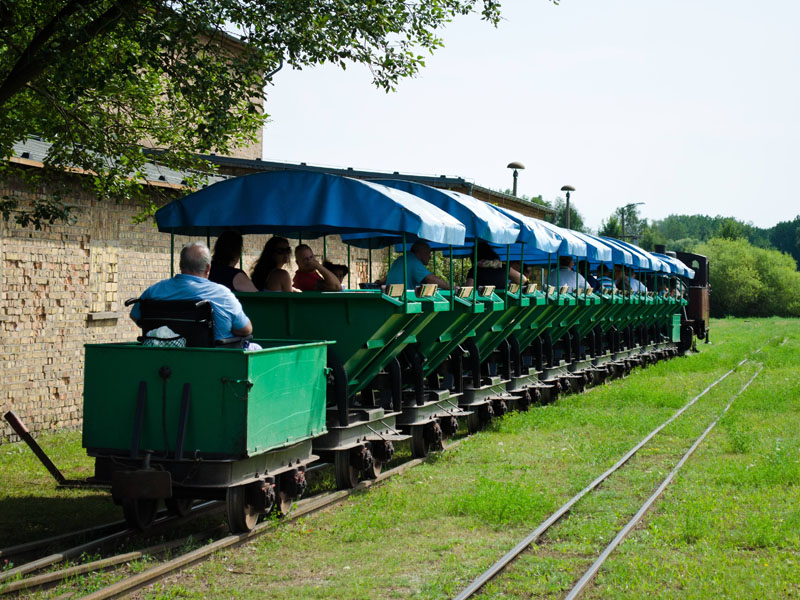 Barrierefreiheit_Spezialwagen für Rollstuhlfahrer2_© ZP