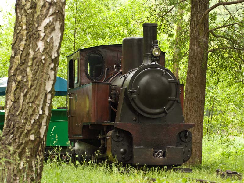 Guided tours_steam locomotive ride_©ZP
