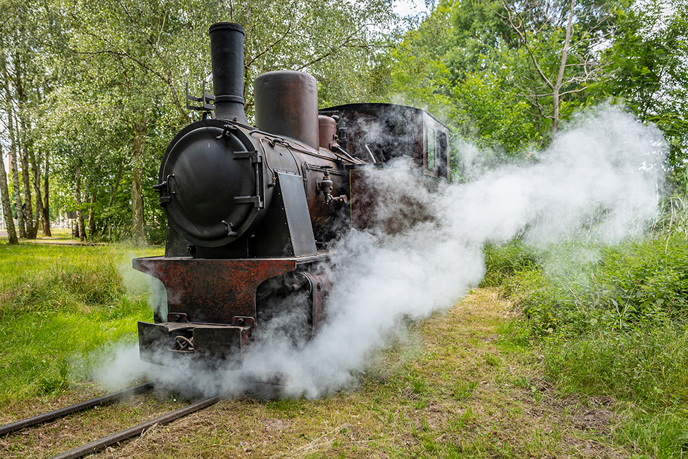 LOWA_FotoAnneThammZiegeleipark